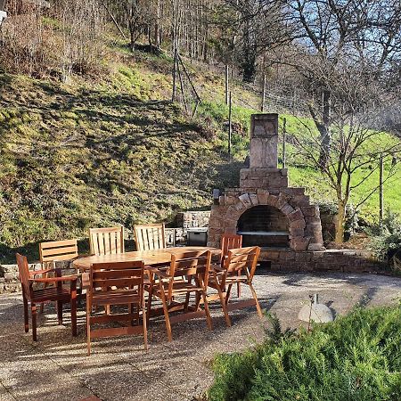 Grosses Ferienhaus Sauerburgblick Sauerthal Bagian luar foto