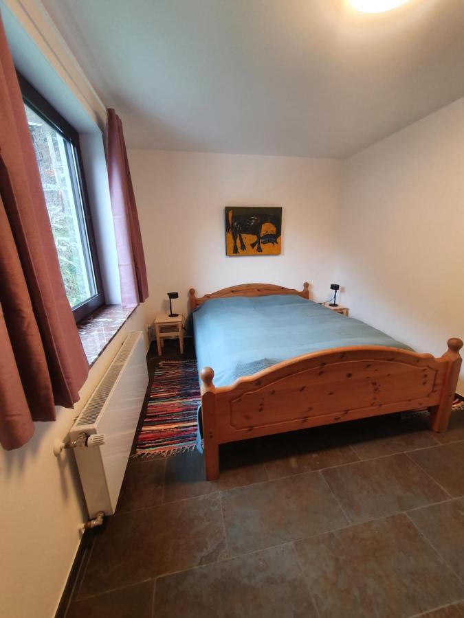 Grosses Ferienhaus Sauerburgblick Sauerthal Bagian luar foto